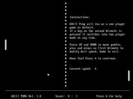 Ascii-Pong