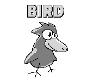 Bird