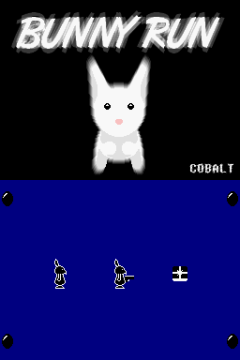 Bunny Run