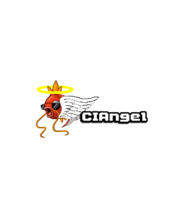 CIAngel