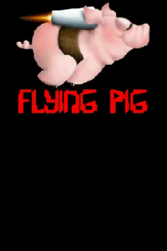 Flying Pig