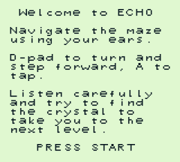 Echo