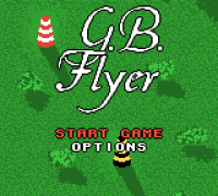 Gbflyer.png