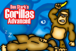 Gorillas 2 Ben Stark