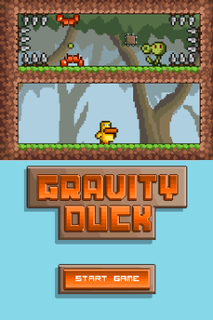 Gravity Duck DS