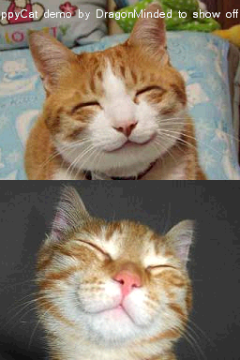 HappyCat