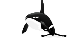 Killer Whale Cursor