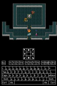 NetHack DS