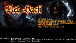 NetHack for the PSP