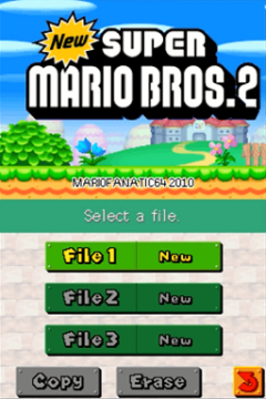 New Super Mario Bros. 2: Doki Doki Panic!! Edition