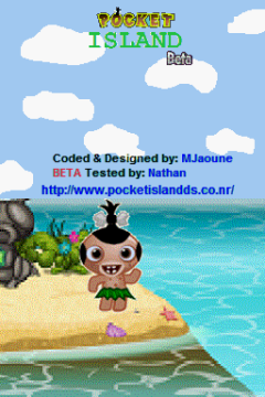 Pocket Island