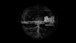 Salt &amp; Sanctuary Pax Empyrean&#039;s Balance Overhaul